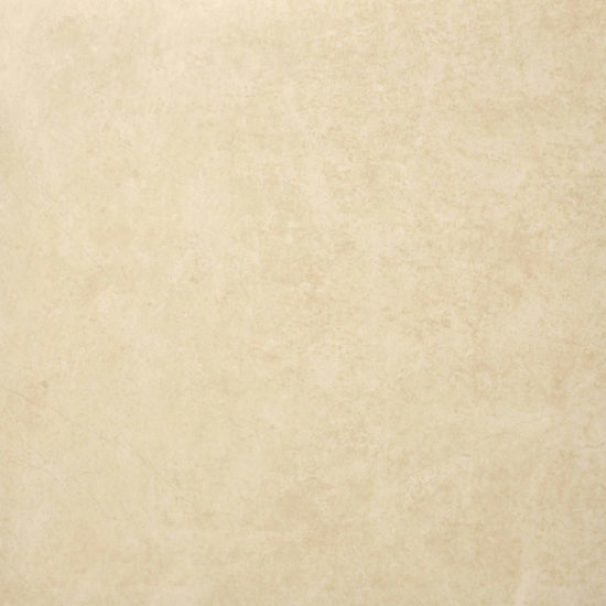 Polished Affection 24X24 | Glens Falls Tile & Supplies