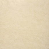 Polished Affection 24X24 | Glens Falls Tile & Supplies