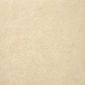 Polished Affection 24X24 | Glens Falls Tile & Supplies