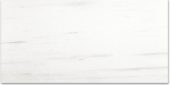 Polished Devotion 12X24 | Glens Falls Tile & Supplies