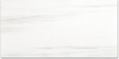 Polished Devotion 12X24 | Glens Falls Tile & Supplies