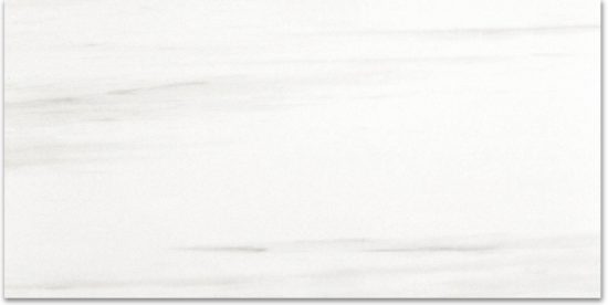 Polished Devotion 12X24 | Glens Falls Tile & Supplies
