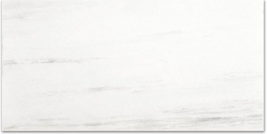 Polished Devotion 12X24 | Glens Falls Tile & Supplies
