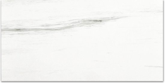Polished Devotion 12X24 | Glens Falls Tile & Supplies