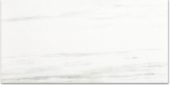 Polished Devotion 12X24 | Glens Falls Tile & Supplies