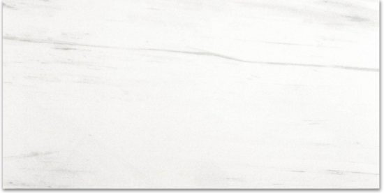 Polished Devotion 12X24 | Glens Falls Tile & Supplies