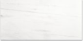 Polished Devotion 12X24 | Glens Falls Tile & Supplies