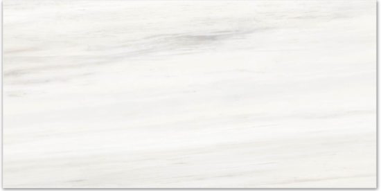 Polished Devotion 16X32 | Glens Falls Tile & Supplies