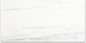 Polished Devotion 24X48 | Glens Falls Tile & Supplies