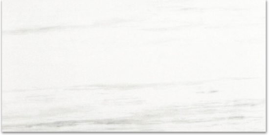 Polished Devotion 24X48 | Glens Falls Tile & Supplies