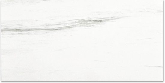 Polished Devotion 24X48 | Glens Falls Tile & Supplies