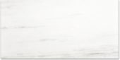 Polished Devotion 24X48 | Glens Falls Tile & Supplies