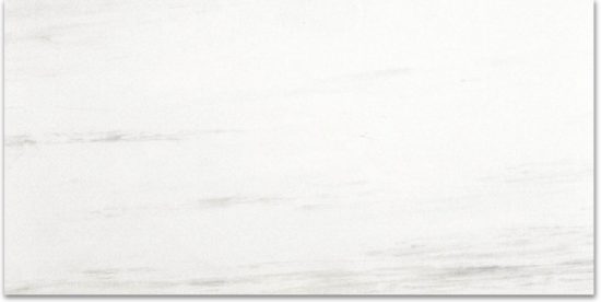 Polished Devotion 24X48 | Glens Falls Tile & Supplies