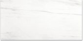 Polished Devotion 24X48 | Glens Falls Tile & Supplies