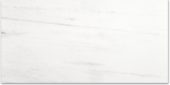 Polished Devotion 24X48 | Glens Falls Tile & Supplies