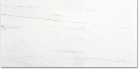 Polished Devotion 24X48 | Glens Falls Tile & Supplies