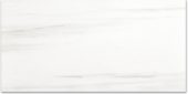 Polished Devotion 24X48 | Glens Falls Tile & Supplies