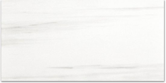Polished Devotion 24X48 | Glens Falls Tile & Supplies