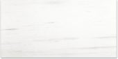 Polished Devotion 24X48 | Glens Falls Tile & Supplies