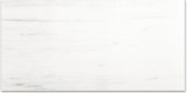 Polished Devotion 24X48 | Glens Falls Tile & Supplies