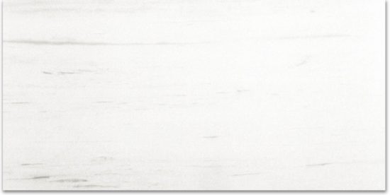 Polished Devotion 24X48 | Glens Falls Tile & Supplies