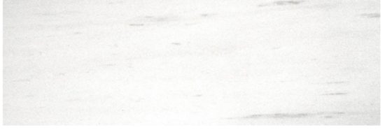 Polished Devotion 4X12 | Glens Falls Tile & Supplies