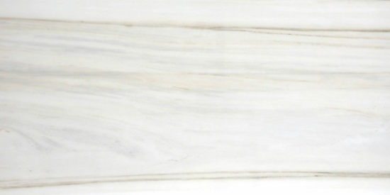Polished Enchantment 16X32 | Glens Falls Tile & Supplies
