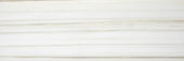 Polished Enchantment 4X12 | Glens Falls Tile & Supplies