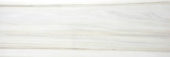 Polished Enchantment 4X12 | Glens Falls Tile & Supplies