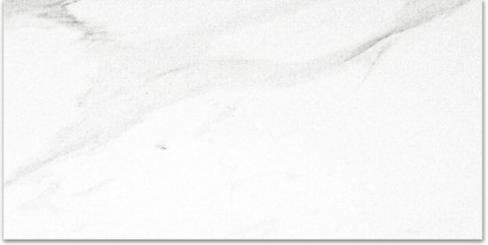 Polished Infatuation 12X24 | Glens Falls Tile & Supplies