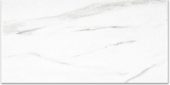 Polished Infatuation 12X24 | Glens Falls Tile & Supplies