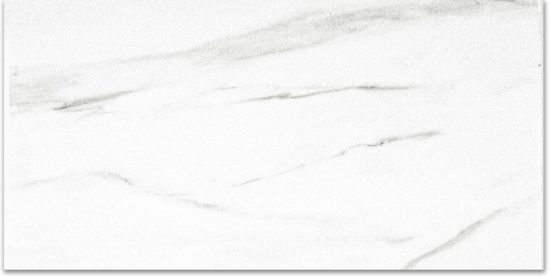 Polished Infatuation 12X24 | Glens Falls Tile & Supplies
