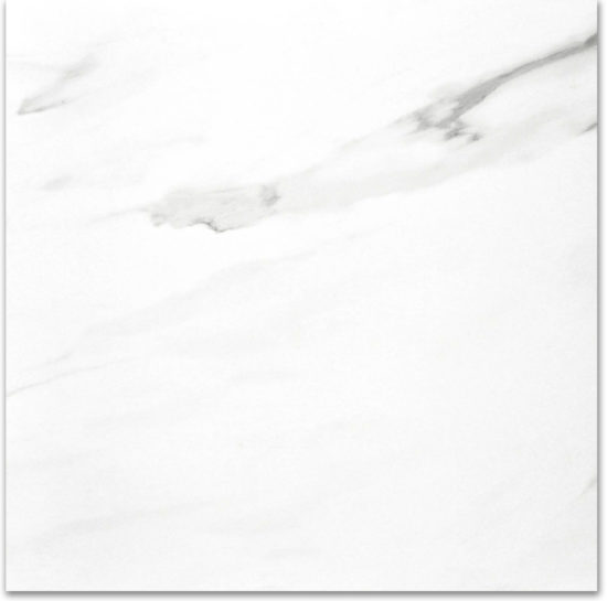Polished Infatuation 24X24 | Glens Falls Tile & Supplies