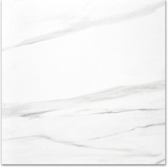 Polished Infatuation 24X24 | Glens Falls Tile & Supplies