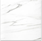 Polished Infatuation 24X24 | Glens Falls Tile & Supplies