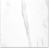 Polished Infatuation 24X24 | Glens Falls Tile & Supplies