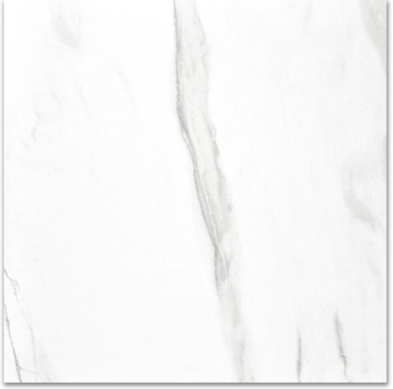 Polished Infatuation 24X24 | Glens Falls Tile & Supplies