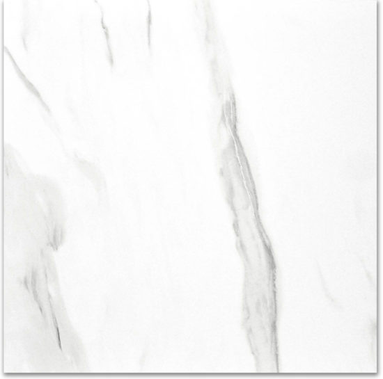 Polished Infatuation 24X24 | Glens Falls Tile & Supplies