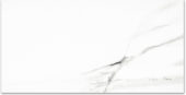 Polished Infatuation 24X48 | Glens Falls Tile & Supplies