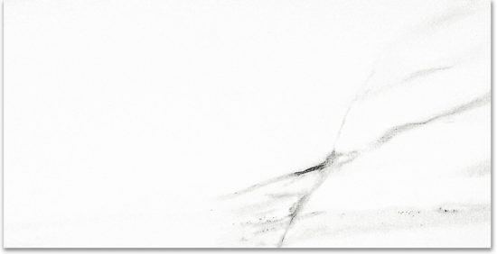 Polished Infatuation 24X48 | Glens Falls Tile & Supplies