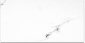 Polished Infatuation 24X48 | Glens Falls Tile & Supplies