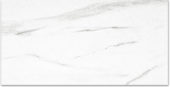 Polished Infatuation 24X48 | Glens Falls Tile & Supplies