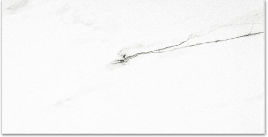 Polished Infatuation 24X48 | Glens Falls Tile & Supplies