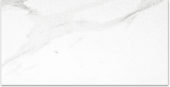 Polished Infatuation 24X48 | Glens Falls Tile & Supplies