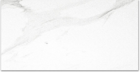 Polished Infatuation 24X48 | Glens Falls Tile & Supplies