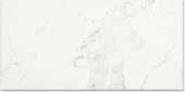 Polished Love 12X24 | Glens Falls Tile & Supplies