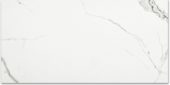 Polished Love 12X24 | Glens Falls Tile & Supplies