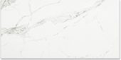 Polished Love 12X24 | Glens Falls Tile & Supplies