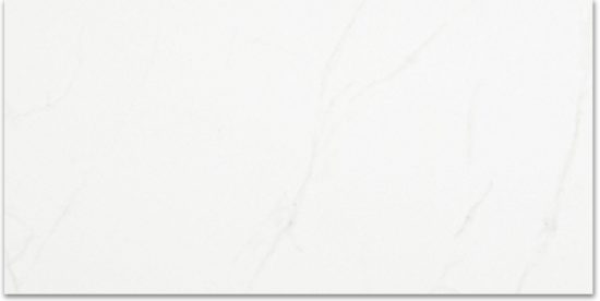 Polished Love 12X24 | Glens Falls Tile & Supplies