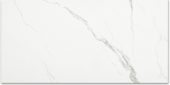 Polished Love 12X24 | Glens Falls Tile & Supplies